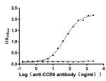 CCR6 Recombinant Human Monoclonal Antibody (16H2)