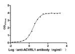 ACVRL1 Recombinant Human Monoclonal Antibody (6G7)