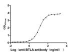 BTLA Antibody in ELISA (ELISA)