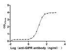 GIPR Antibody in ELISA (ELISA)