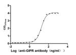 GIPR Recombinant Human Monoclonal Antibody (15D4)
