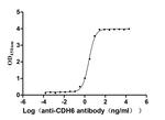 K-cadherin Recombinant Human Monoclonal Antibody (8B4)