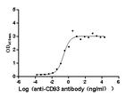 CD93 Recombinant Human Monoclonal Antibody (15B9)