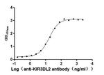 KIR3DL2 Antibody in ELISA (ELISA)