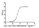 CEACAM8 Recombinant Human Monoclonal Antibody (22H9)