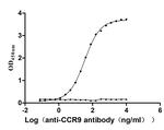 CCR9 Recombinant Human Monoclonal Antibody (8H4)