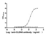 Claudin 6 Antibody in ELISA (ELISA)