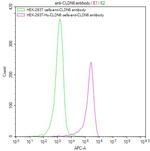 Claudin 6 Recombinant Human Monoclonal Antibody (6D4)