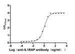 IL-1RAcP Antibody in ELISA (ELISA)