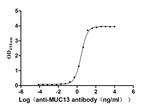 MUC13 Antibody in ELISA (ELISA)