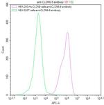 Claudin 6/9 Recombinant Mouse Monoclonal Antibody (9E2)