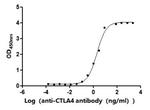 CTLA-4 Antibody in ELISA (ELISA)
