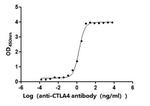 CTLA-4 Antibody in ELISA (ELISA)