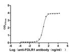 Folate Receptor alpha Recombinant Human Monoclonal Antibody (4B11)