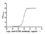 CTGF Antibody in ELISA (ELISA)