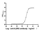 IL2RG Antibody in ELISA (ELISA)