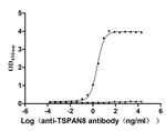 TSPAN8 Antibody in ELISA (ELISA)