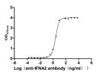 Interferon alpha-2 Recombinant Human Monoclonal Antibody (8E8)
