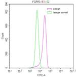 FGFR3 Recombinant Human Monoclonal Antibody (11B11)