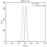 NGF Recombinant Human Monoclonal Antibody (7F12)