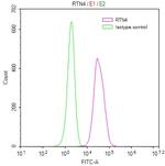 Nogo-A Recombinant Human Monoclonal Antibody (11D11)
