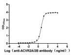 ACVR2B Antibody in ELISA (ELISA)