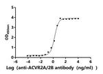 ACVR2B Antibody in ELISA (ELISA)
