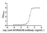 ACVR2B Antibody in ELISA (ELISA)