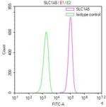 ASCT2 Antibody in Flow Cytometry (Flow)