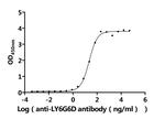 LY6G6D Antibody in ELISA (ELISA)
