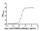 LY6G6D Antibody in ELISA (ELISA)