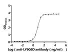 LY6G6D Antibody in ELISA (ELISA)