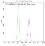 LY6G6D Recombinant Mouse Monoclonal Antibody (9H7)