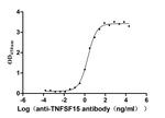 TL1A Antibody in ELISA (ELISA)
