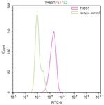 Thrombospondin 1 Recombinant Mouse Monoclonal Antibody (20B2)