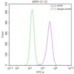 AIF Antibody in Flow Cytometry (Flow)