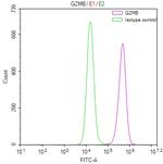 Granzyme B Antibody in Flow Cytometry (Flow)