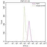 FGF1 Antibody in Flow Cytometry (Flow)