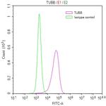 beta Tubulin Antibody in Flow Cytometry (Flow)