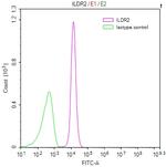 ILDR2 Antibody in Flow Cytometry (Flow)