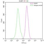 ICAM-1 Antibody in Flow Cytometry (Flow)