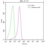 CD62L Recombinant Human Monoclonal Antibody (20B2)