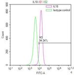 IL-18 Recombinant Human Monoclonal Antibody (16D10)