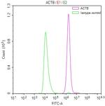 beta Actin Antibody in Flow Cytometry (Flow)