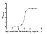 SIGLEC9 Recombinant Human Monoclonal Antibody (5H2)