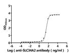 SLC34A2 Recombinant Human Monoclonal Antibody (7B6)