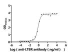LTBR Antibody in ELISA (ELISA)