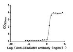 CEACAM1 Recombinant Human Monoclonal Antibody (7F8)