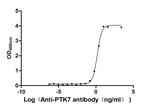 PTK7 Antibody in ELISA (ELISA)