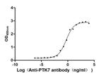 PTK7 Recombinant Human Monoclonal Antibody (8H7)
